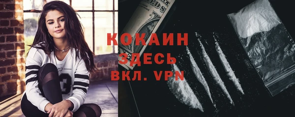 тгк Алексин